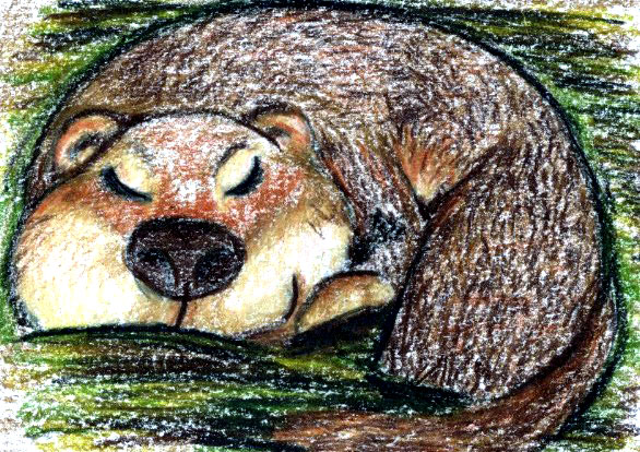 Groundhog in his den
