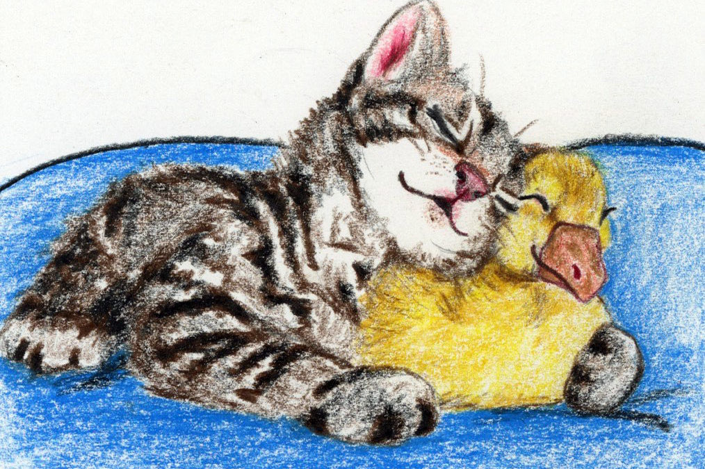 Curious Kitten: A children’s story and guided relaxation