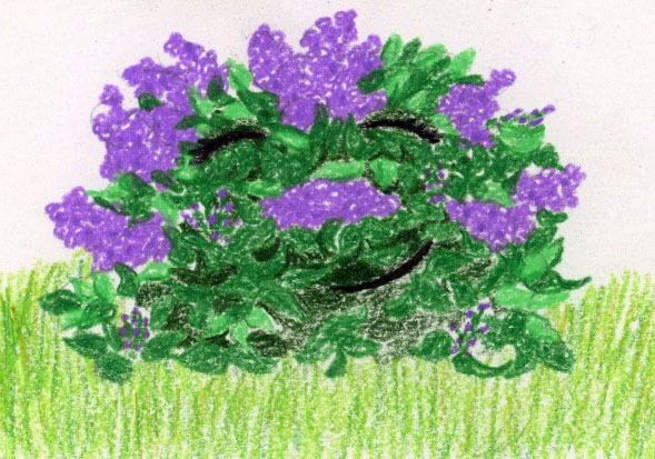 Spring Flowers: bedtime story and guided meditation for kids