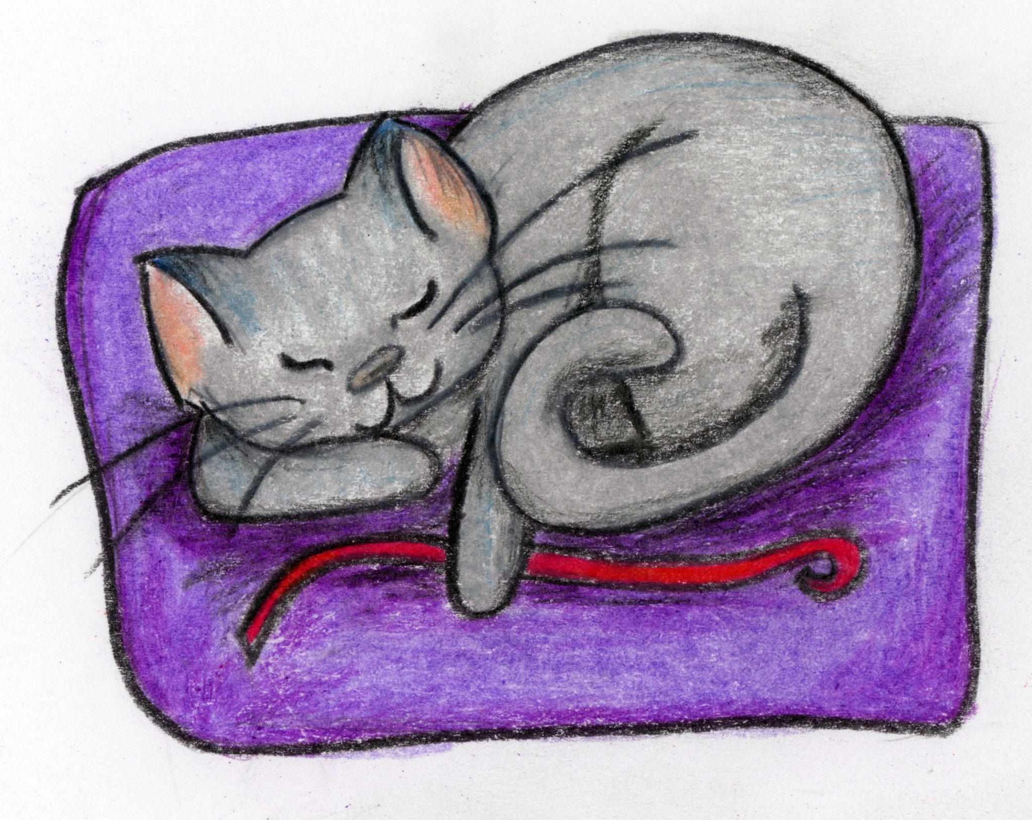 Prince Grey Kitty
