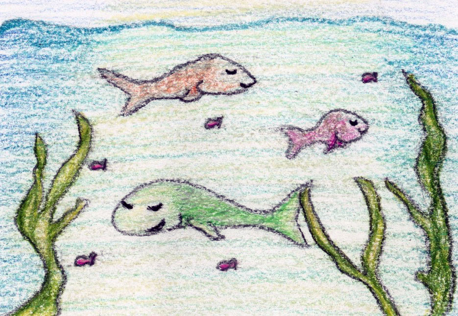 Fish basking