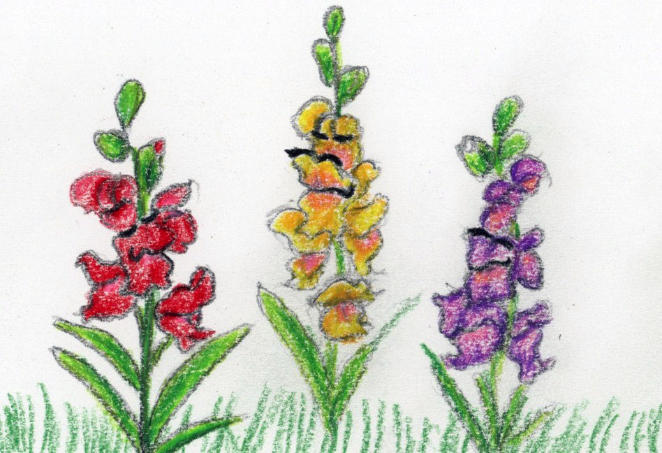 Friendly Flowers and a Bouncing Bumble Bee
