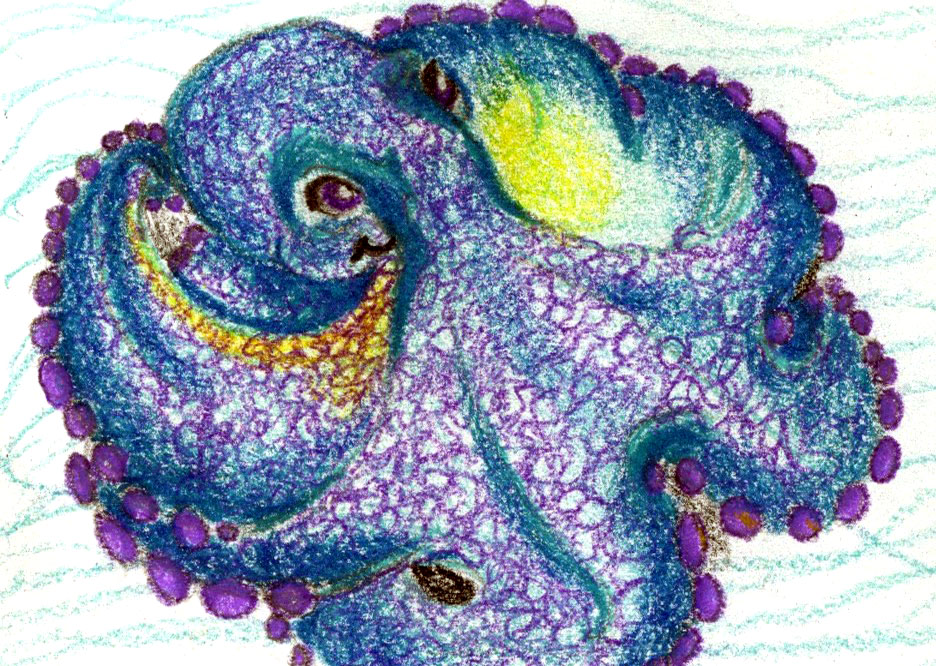 purple octopus