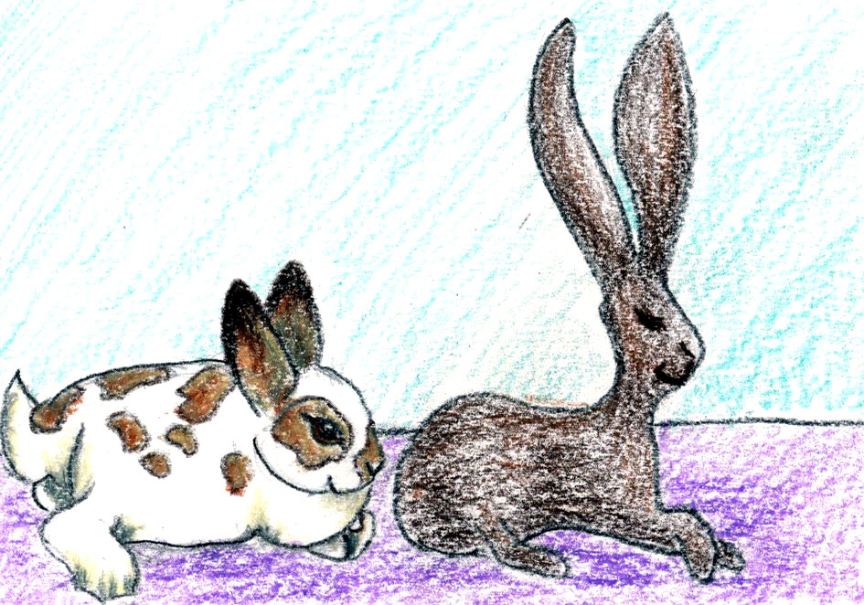 Bunny with Statue