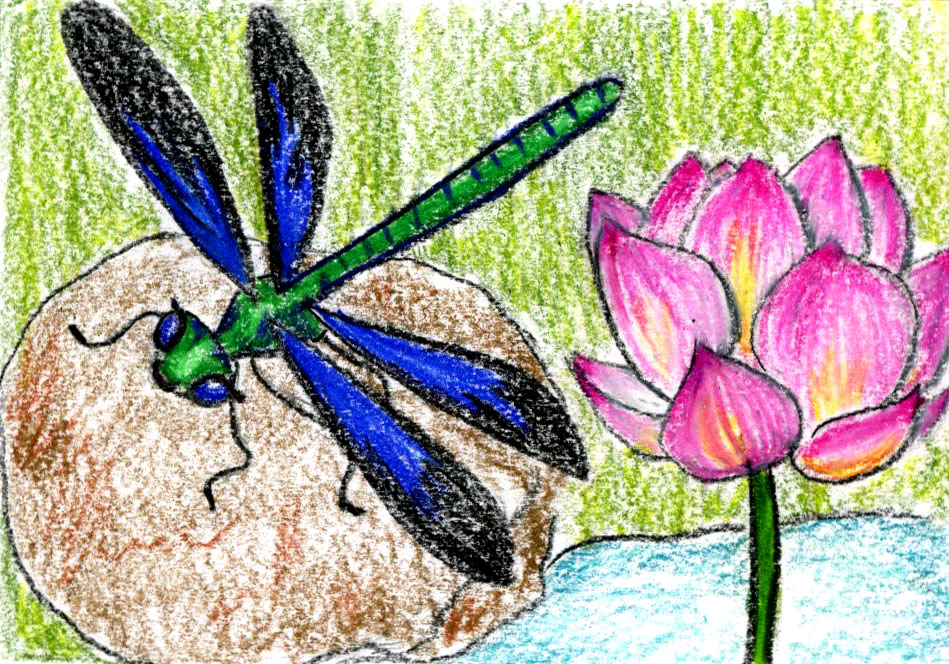 154. Dragonfly Dance: a story and meditation for your bedtime routine