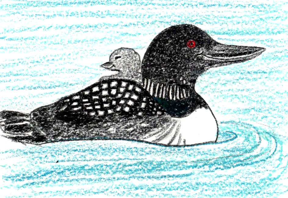 139. Little Loons: a mindful children’s story