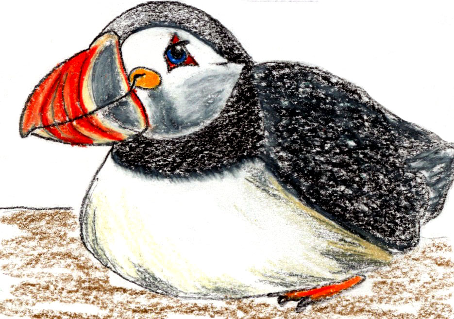 144. Puffin Fun: a relaxation and story for your nap time routine