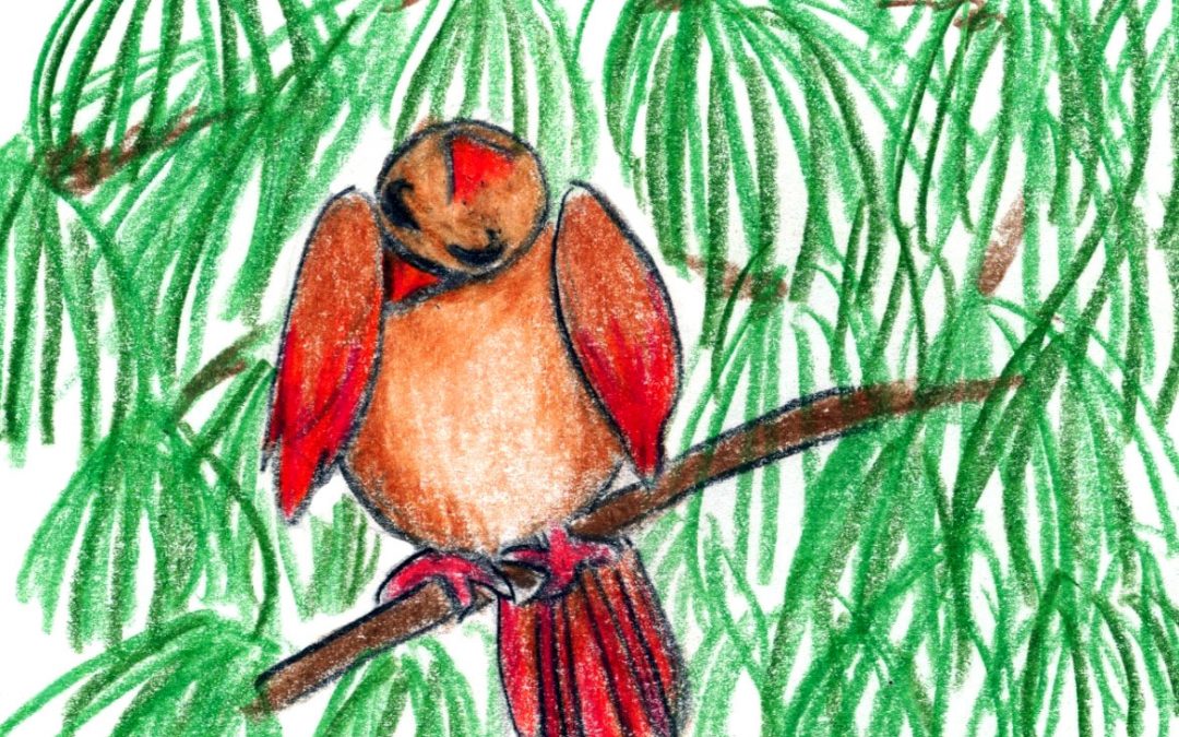 403. Bird Bath: a relaxation and story for your nap time routine